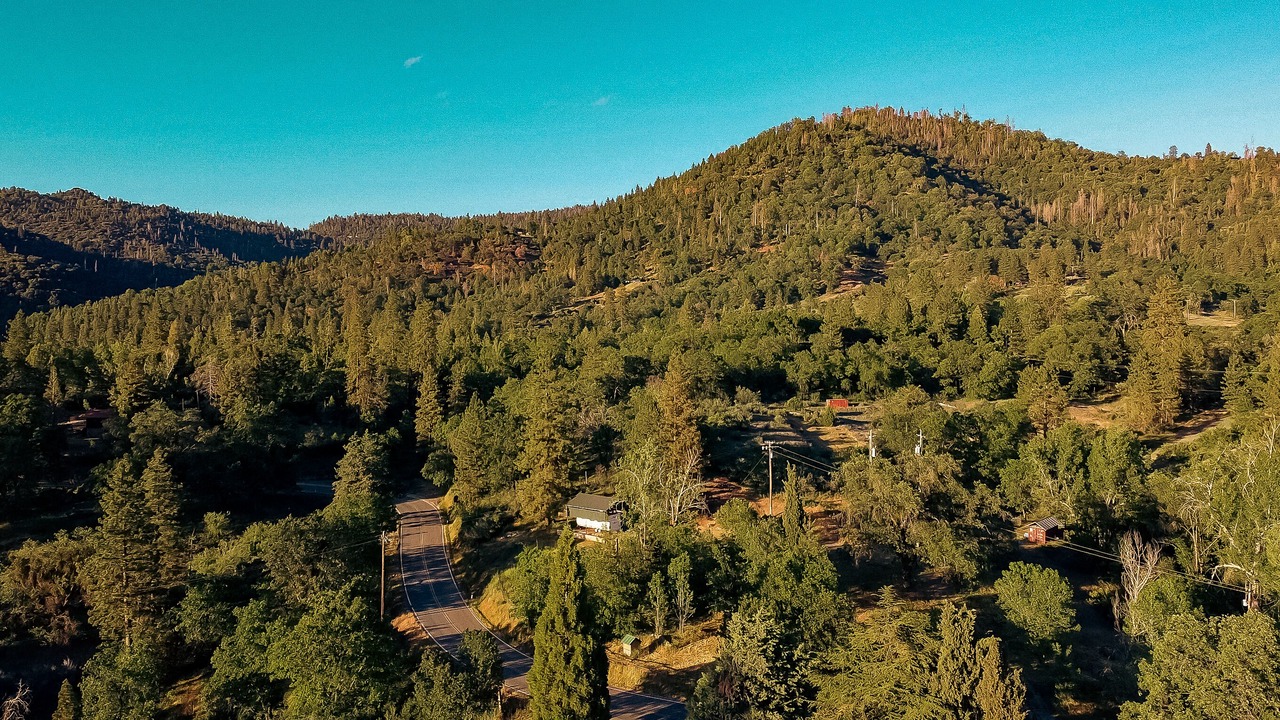 Photo of Outdoor in Pinehurst