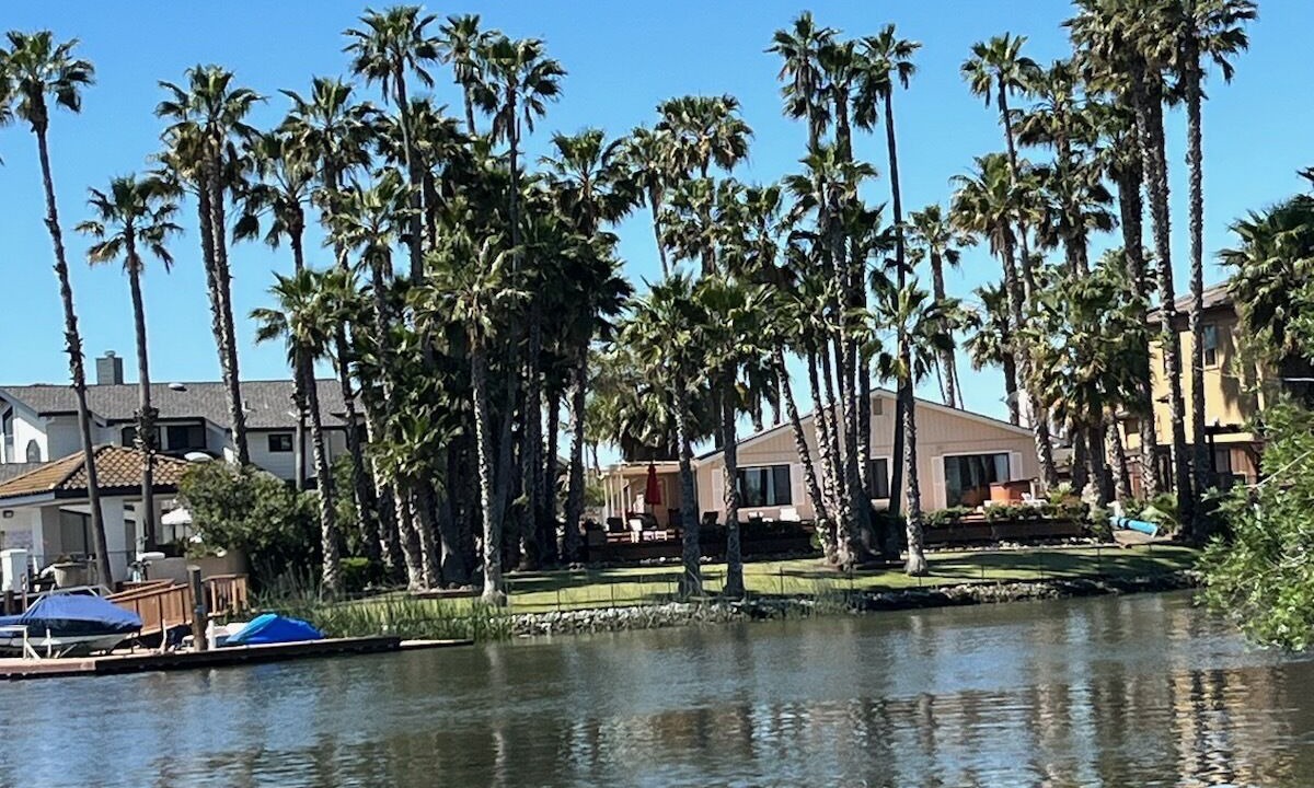 Photo of Others in Discovery Bay