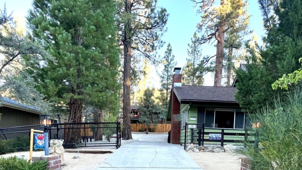 Photo of Outdoor in Whispering Forest