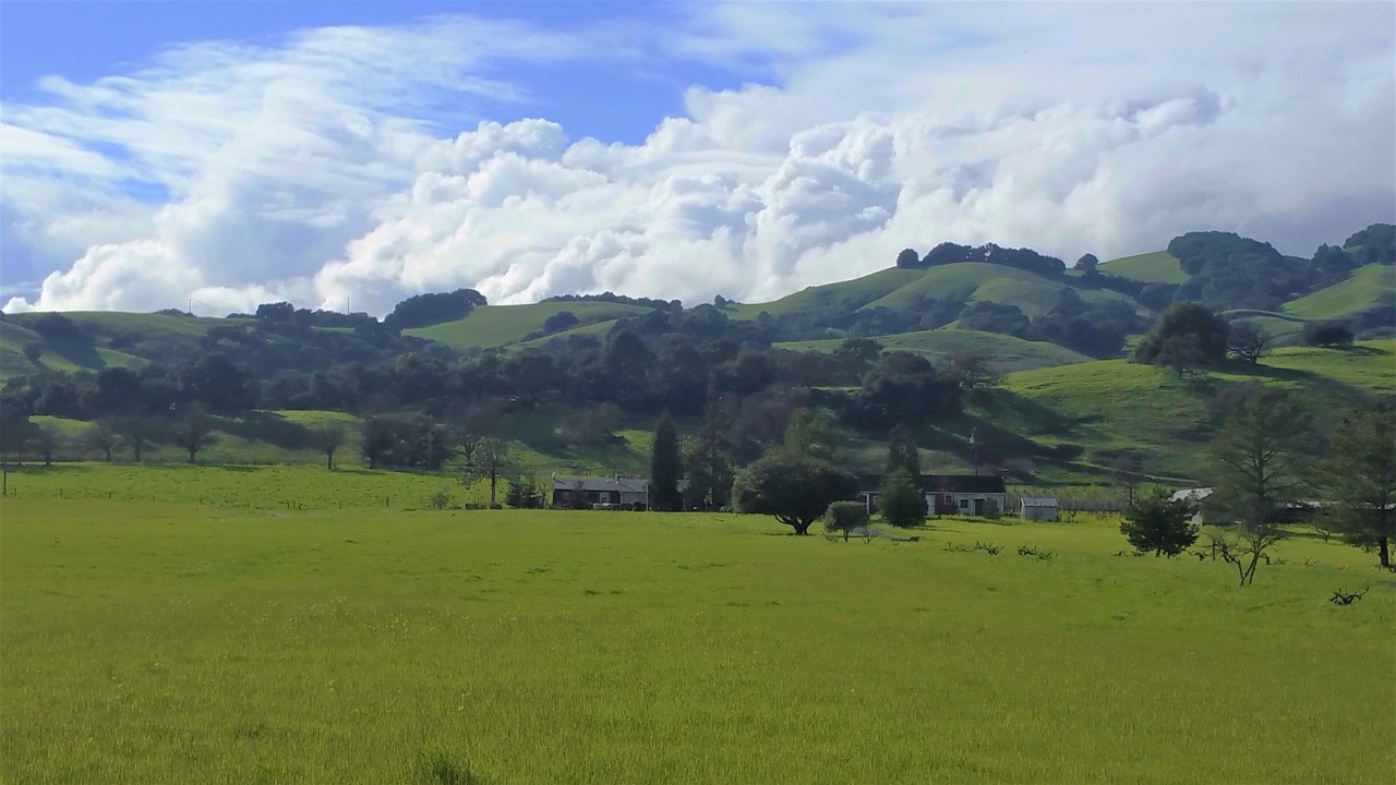 Photo of Others in Sonoma