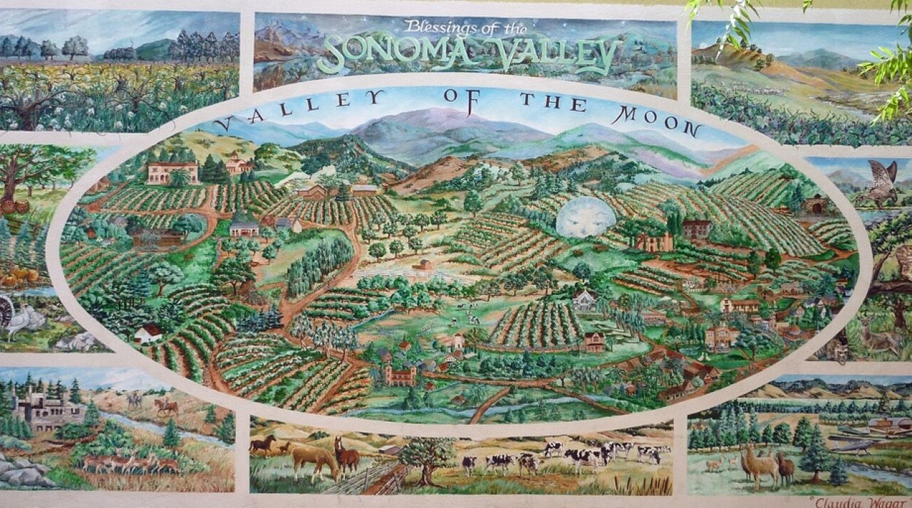 Photo of Others in Sonoma