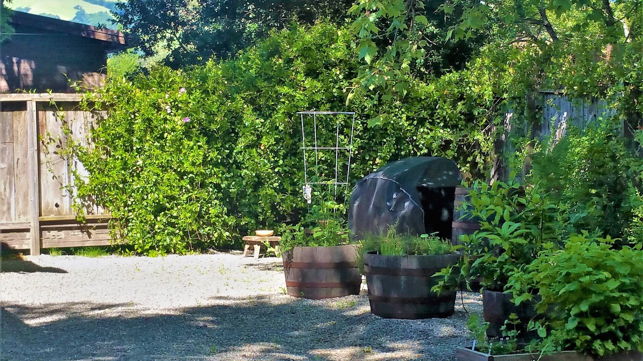 Photo of Outdoor in Sonoma