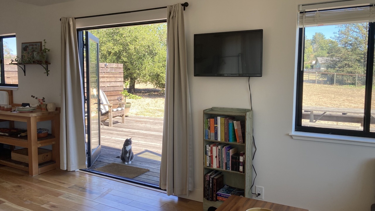 Photo of Livingroom in Windsor
