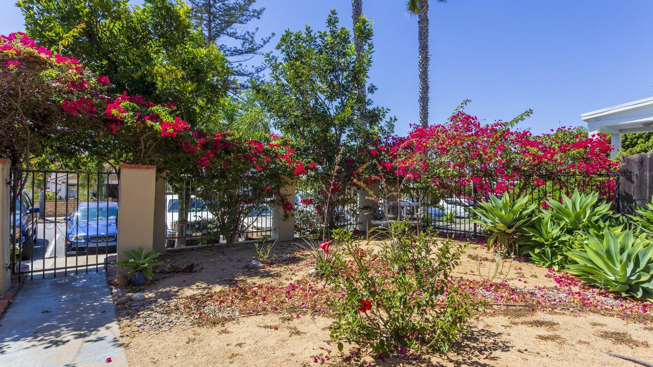 Photo of Outdoor in North Park