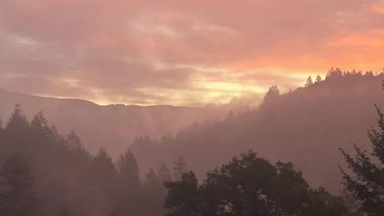 Photo of Others in Nicasio