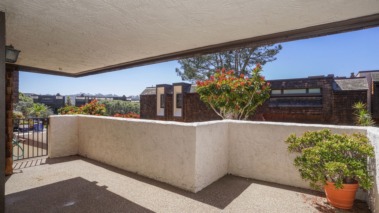 Photo of Others in Del Mar Heights
