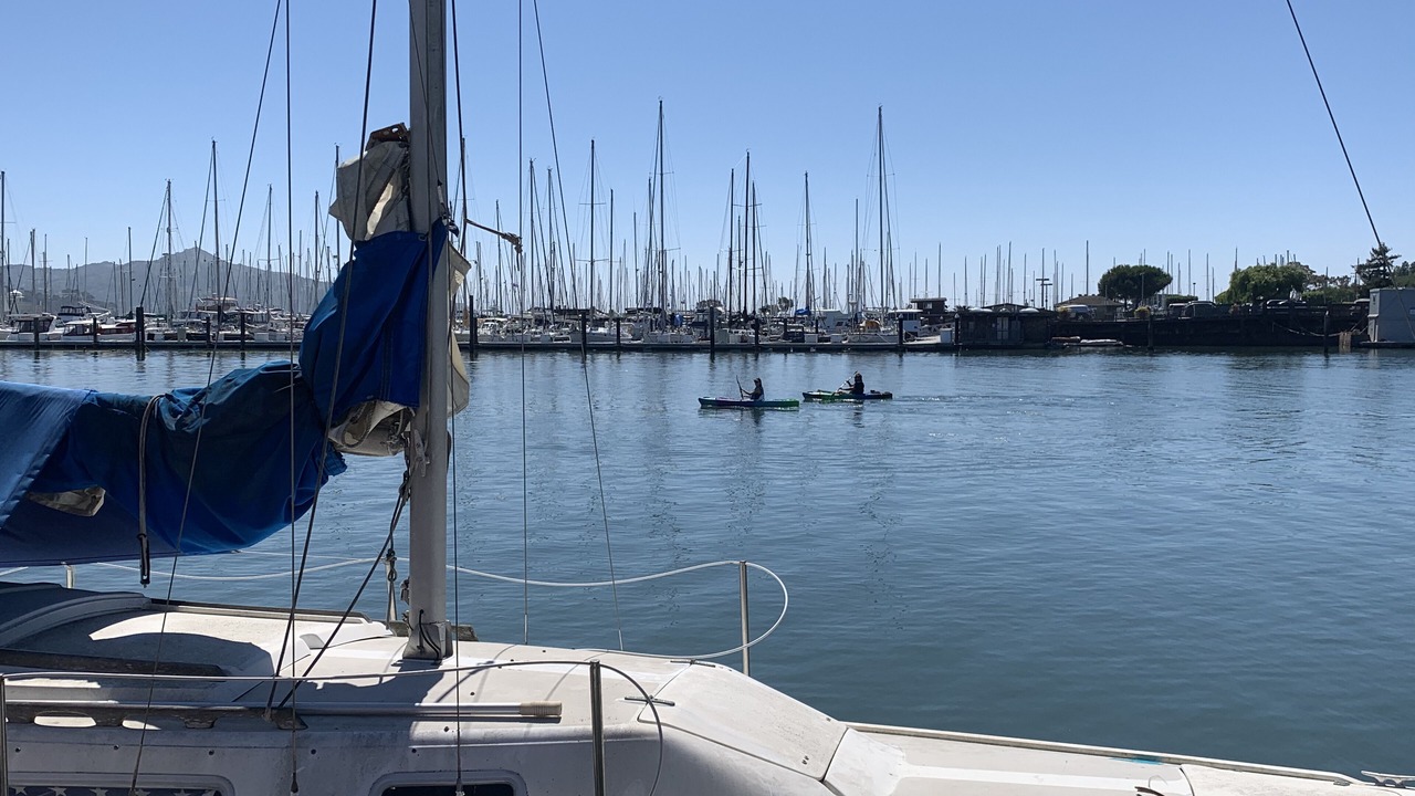 Photo of Others in Sausalito