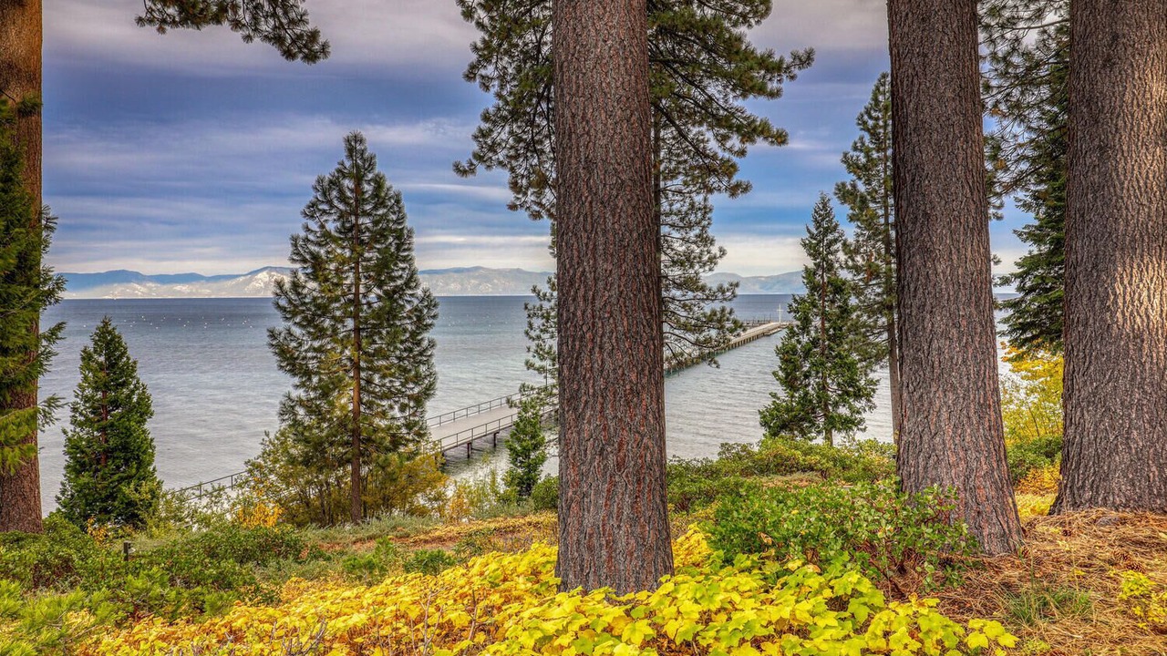 Photo of Others in Tahoe Tavern