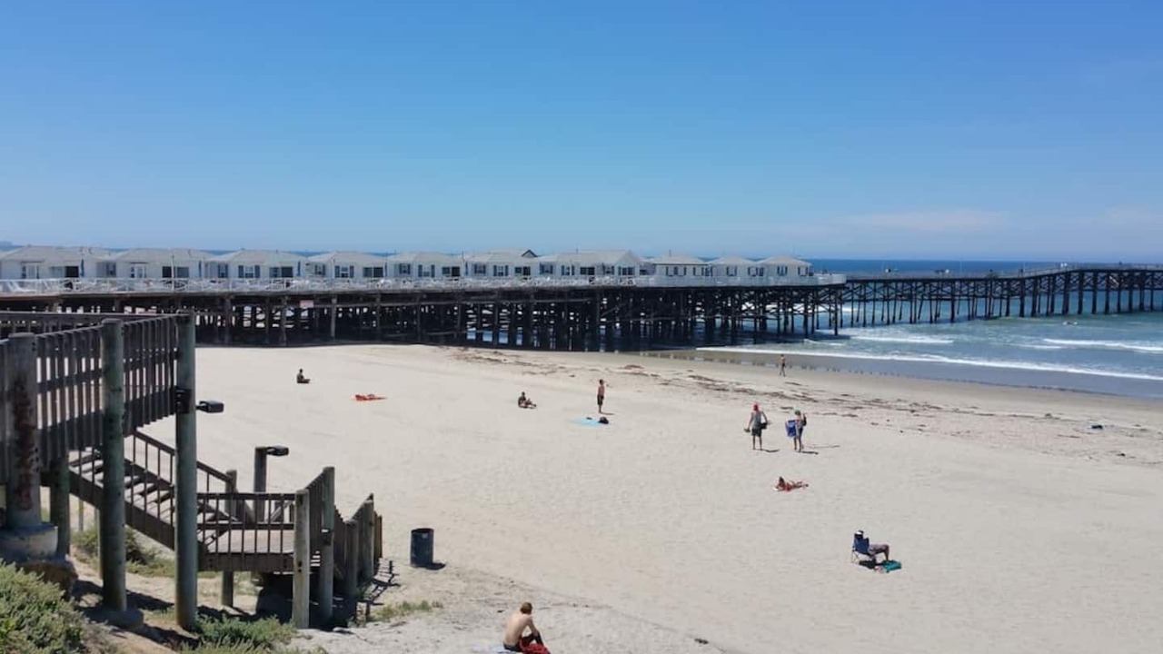 Photo of Others in South Mission Beach