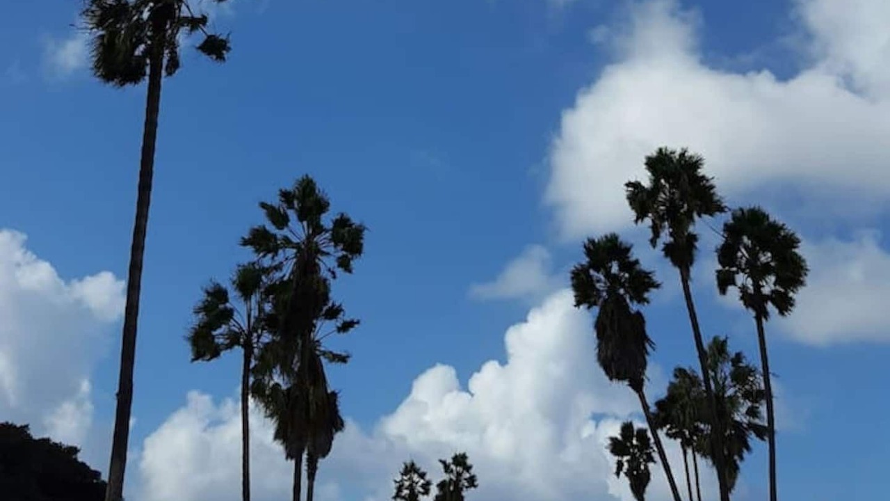 Photo of Others in South Mission Beach