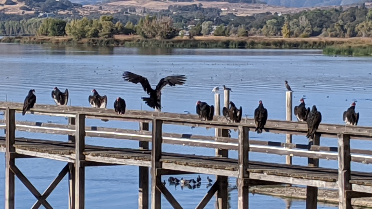 Photo of Others in Upper Lake