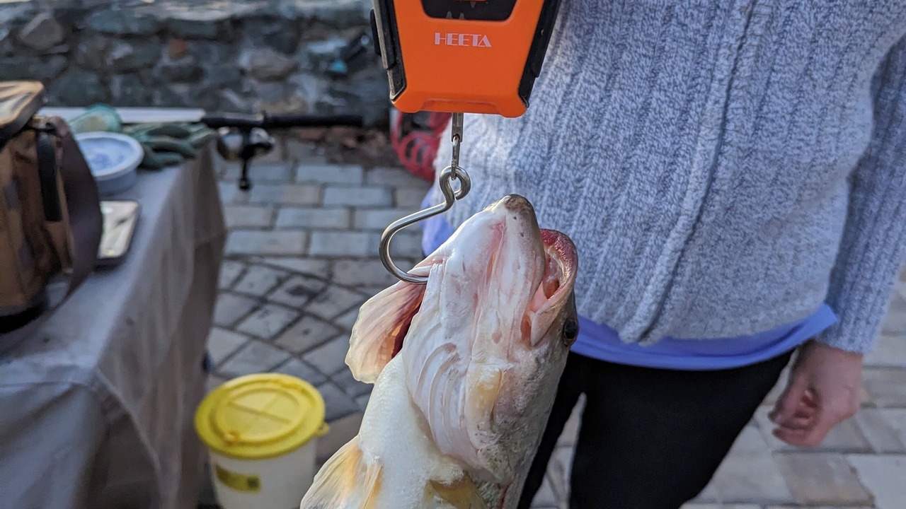 Photo of Others in Upper Lake