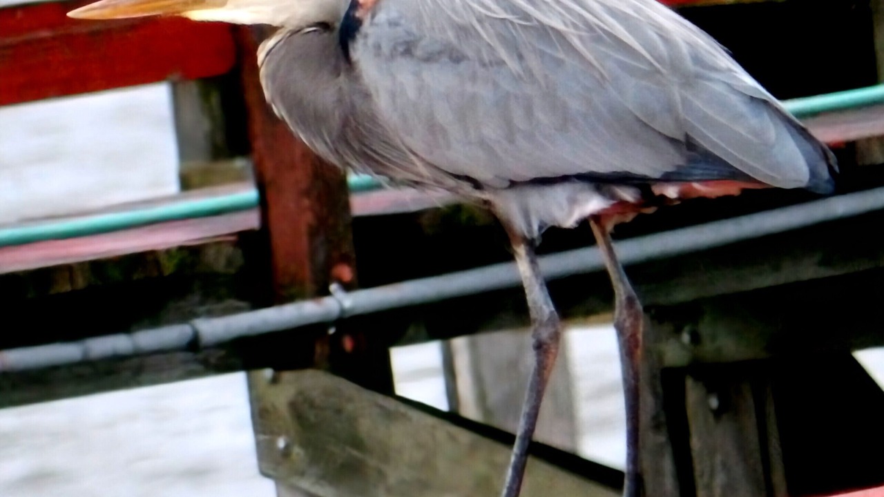Photo of Others in Upper Lake