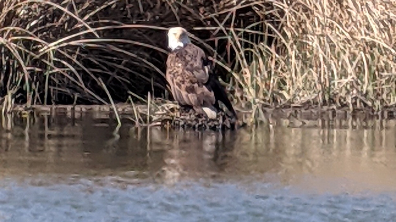 Photo of Outdoor in Upper Lake