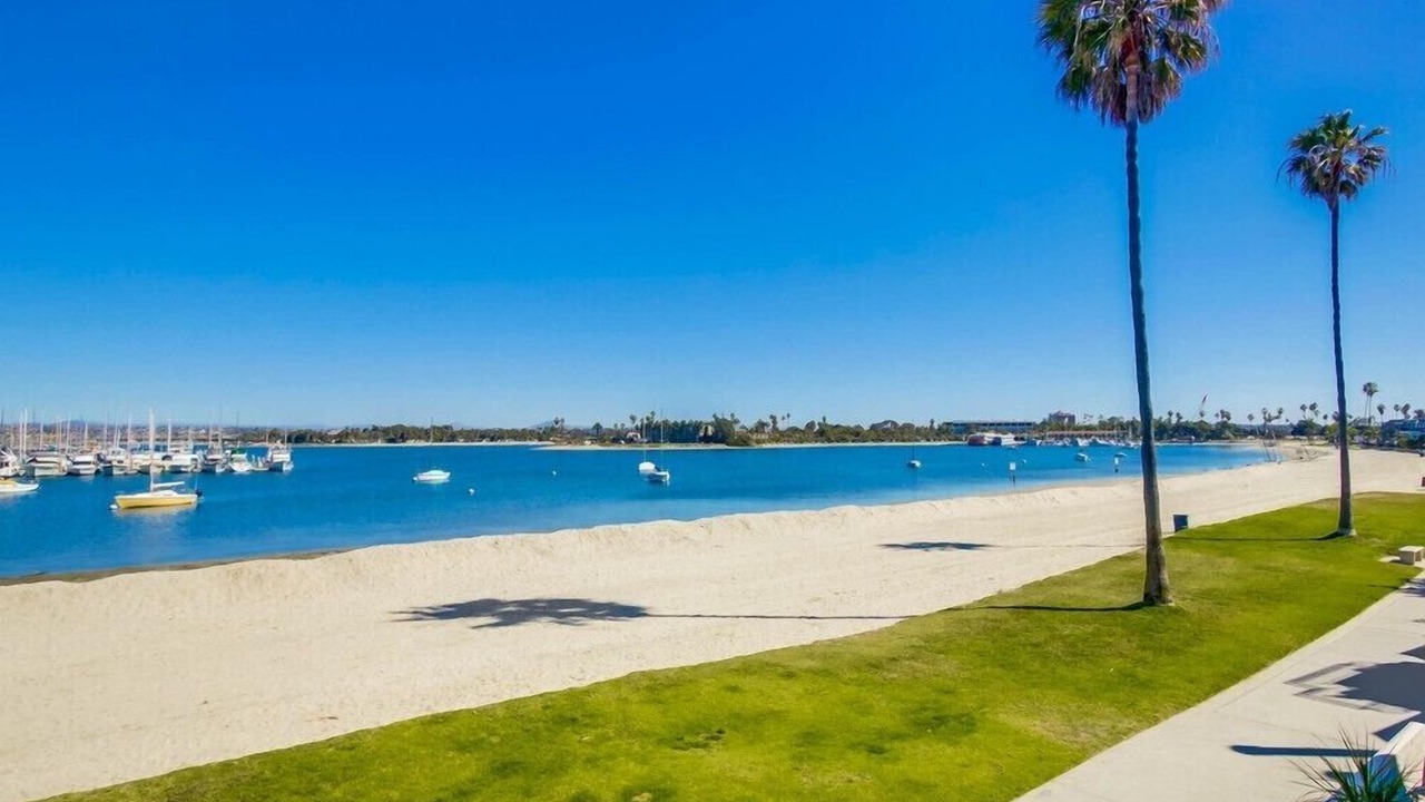 Photo of Others in Mission Beach