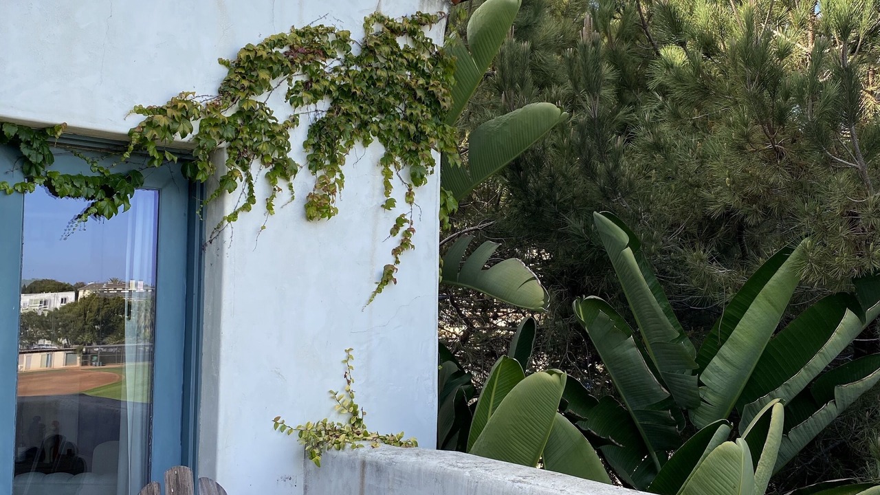 Photo of Outdoor in Laguna