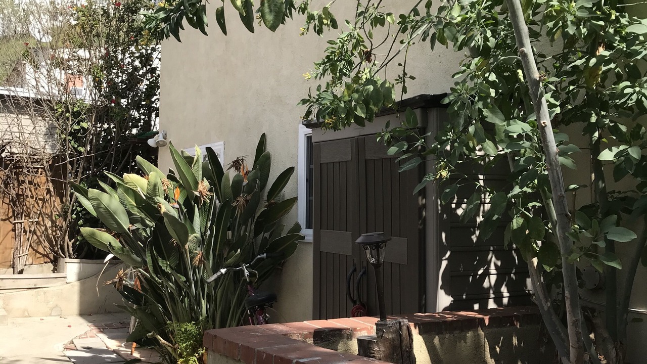 Photo of Outdoor in Silver Lake