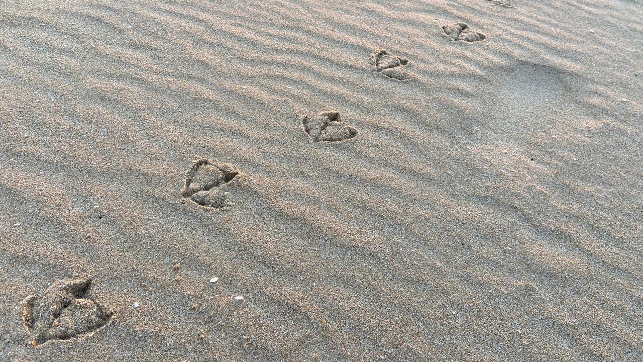 Photo of Others in West Newport