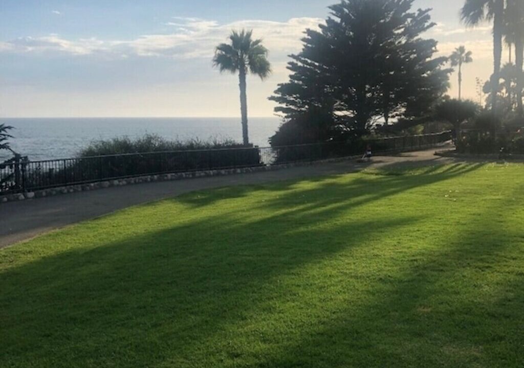 Photo of Others in Laguna Beach