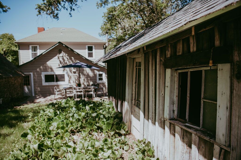 Photo of Outdoor in California Wine Country