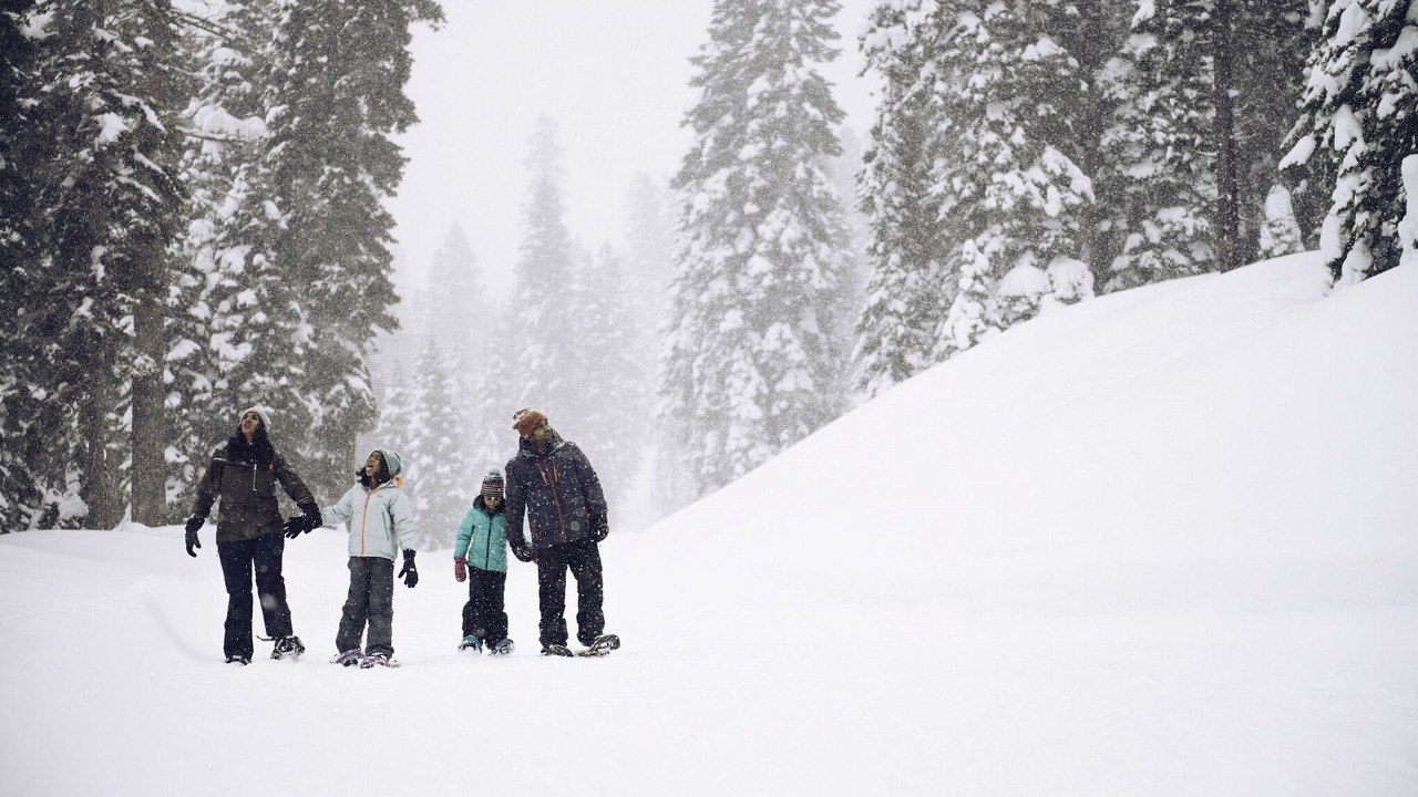 Photo of Others in Truckee