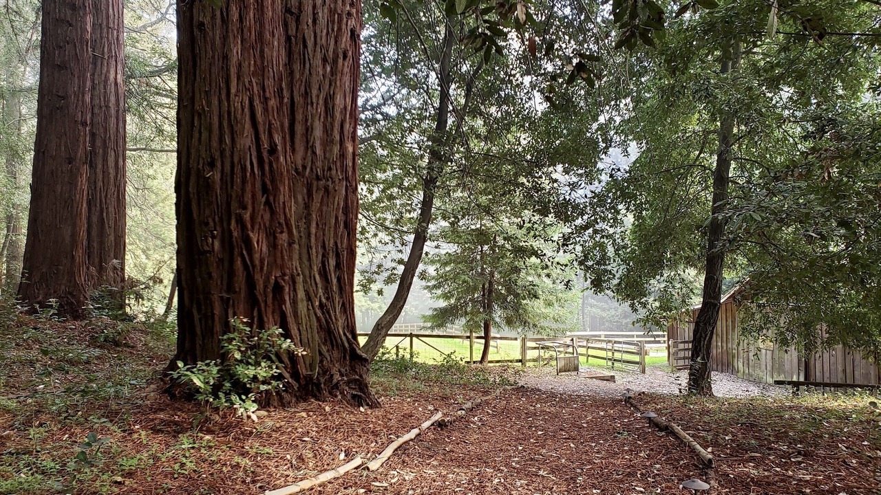 Photo of Outdoor in La Selva Beach