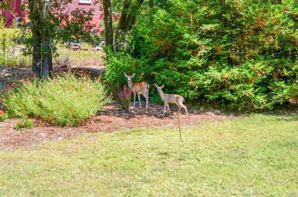 Photo of Others in Glen Ellen