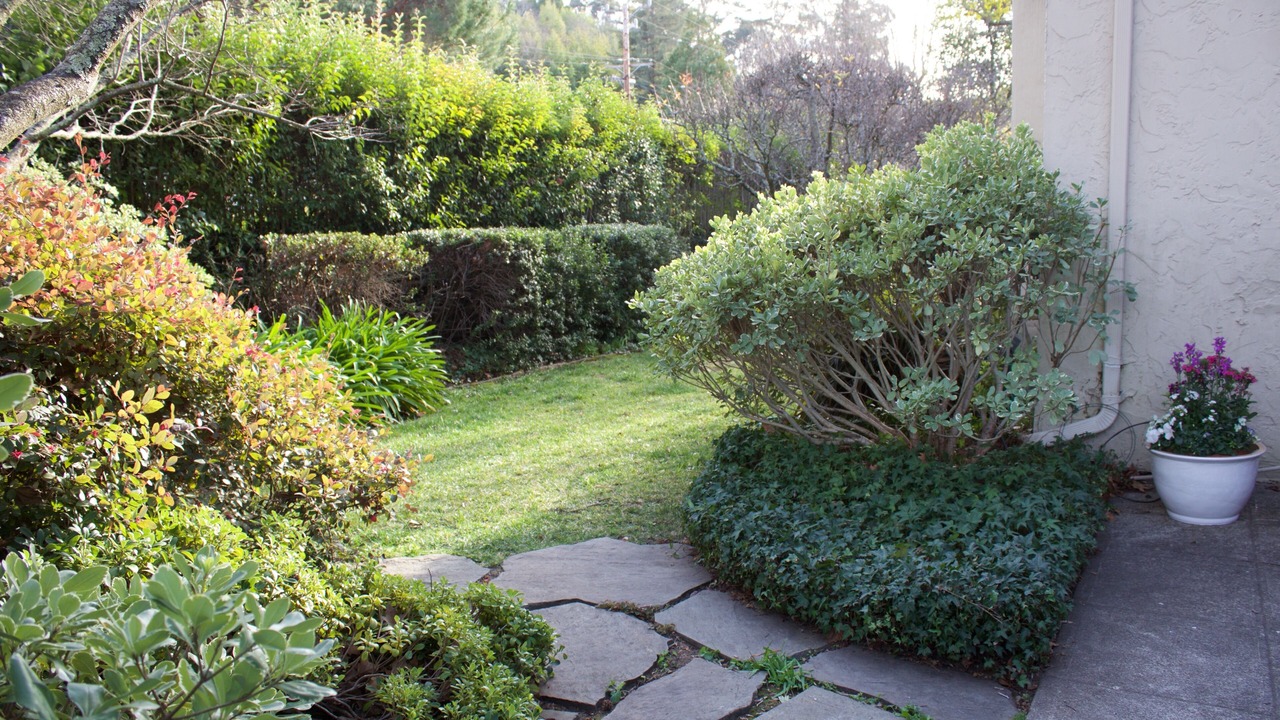 Photo of Others in San Anselmo