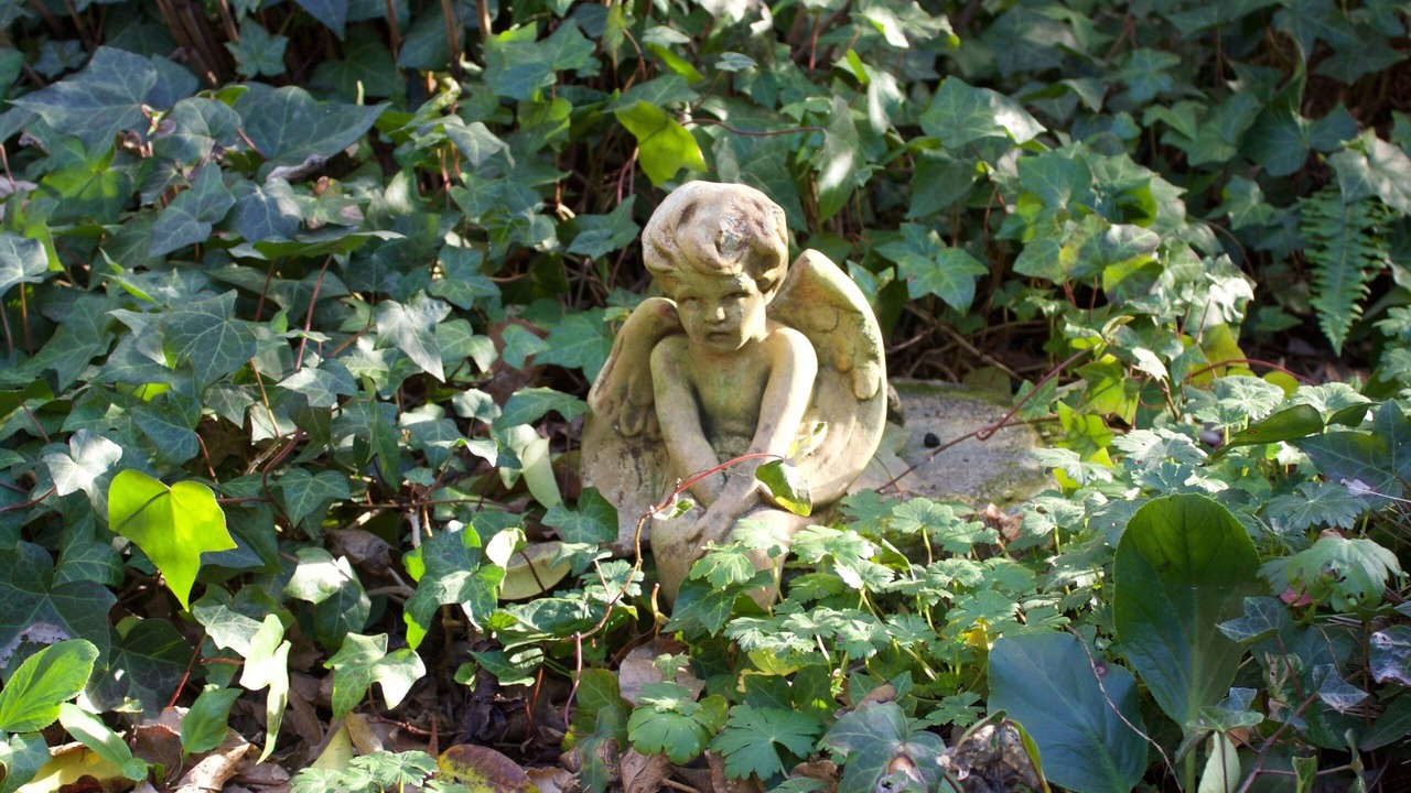 Photo of Outdoor in San Anselmo