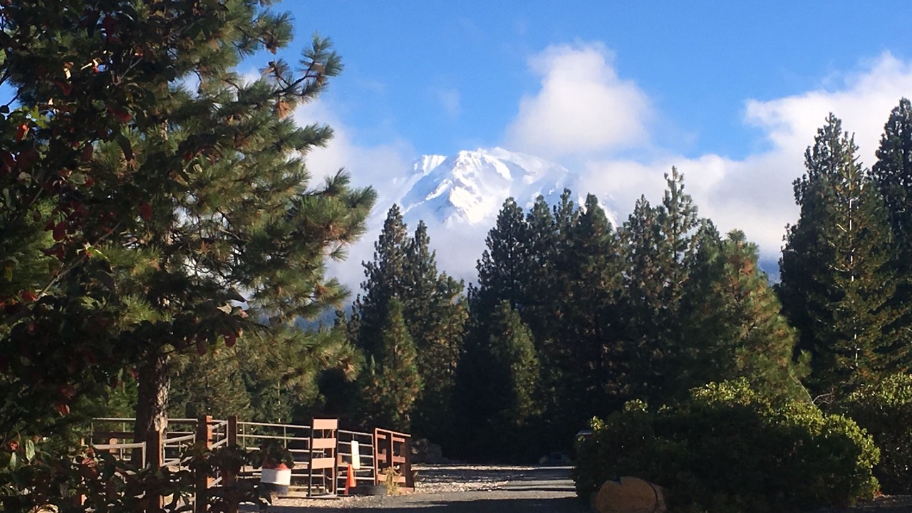 Photo of Outdoor in Mount Shasta