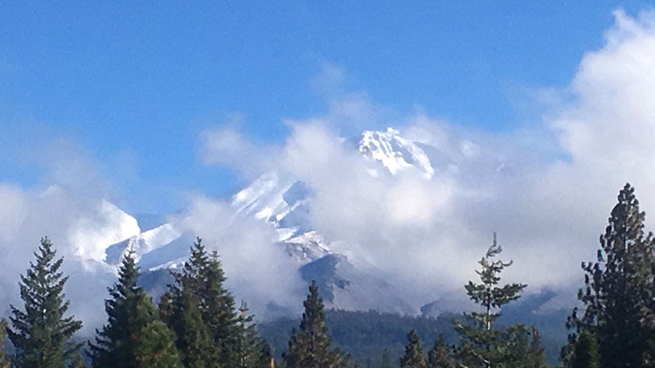Photo of Others in Mount Shasta