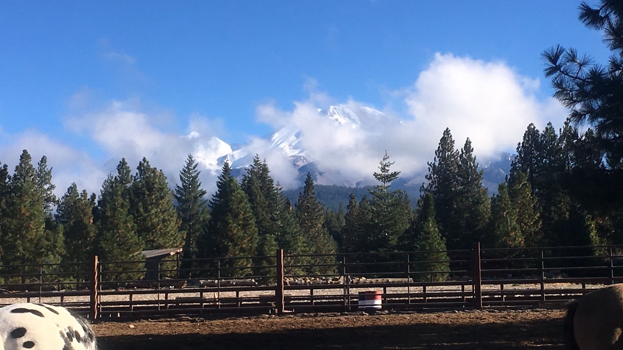 Photo of Others in Mount Shasta
