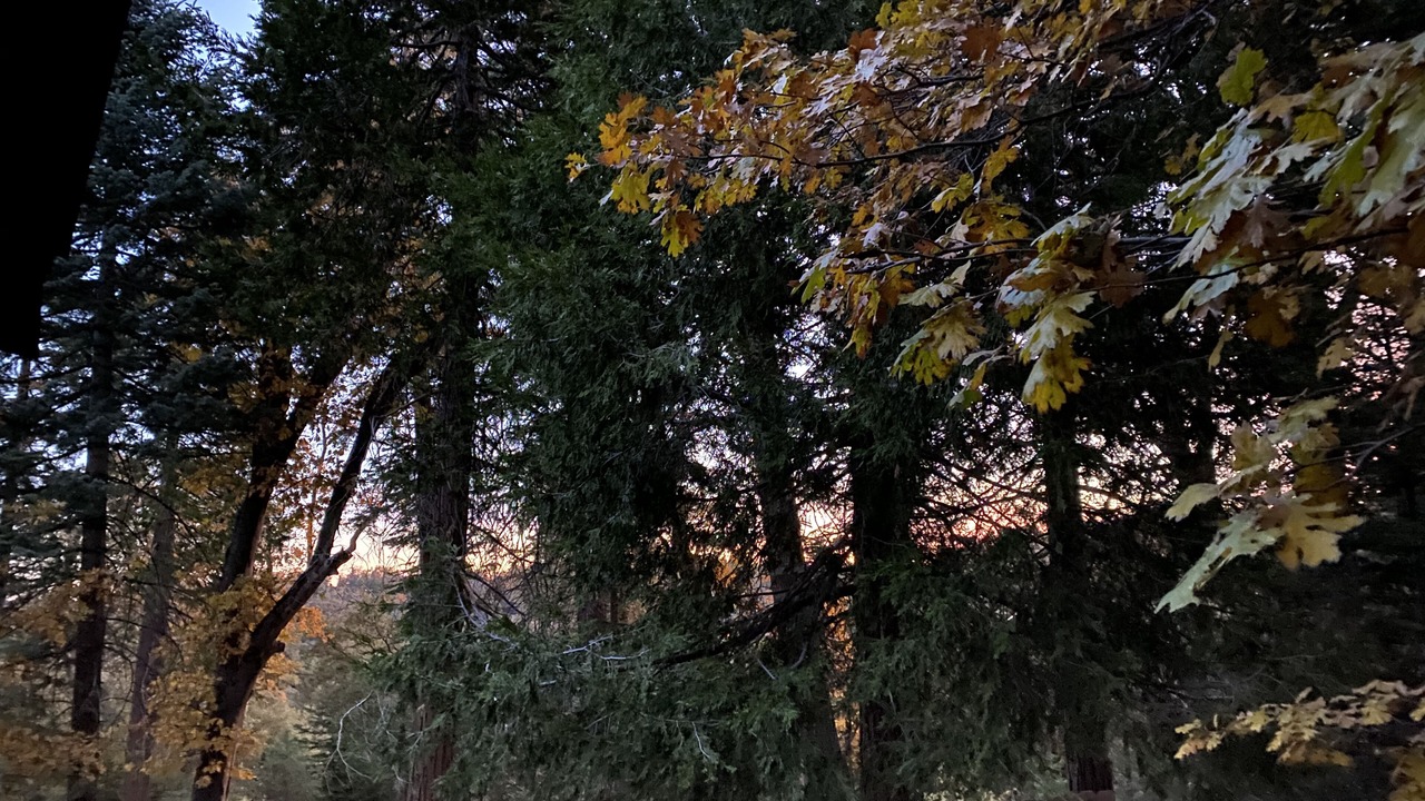 Photo of Outdoor in Pauma Valley