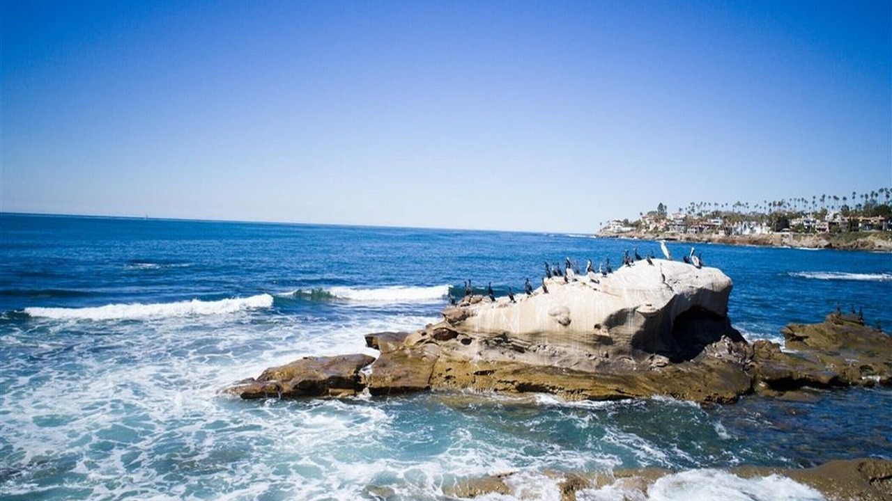 Photo of Others in La Jolla
