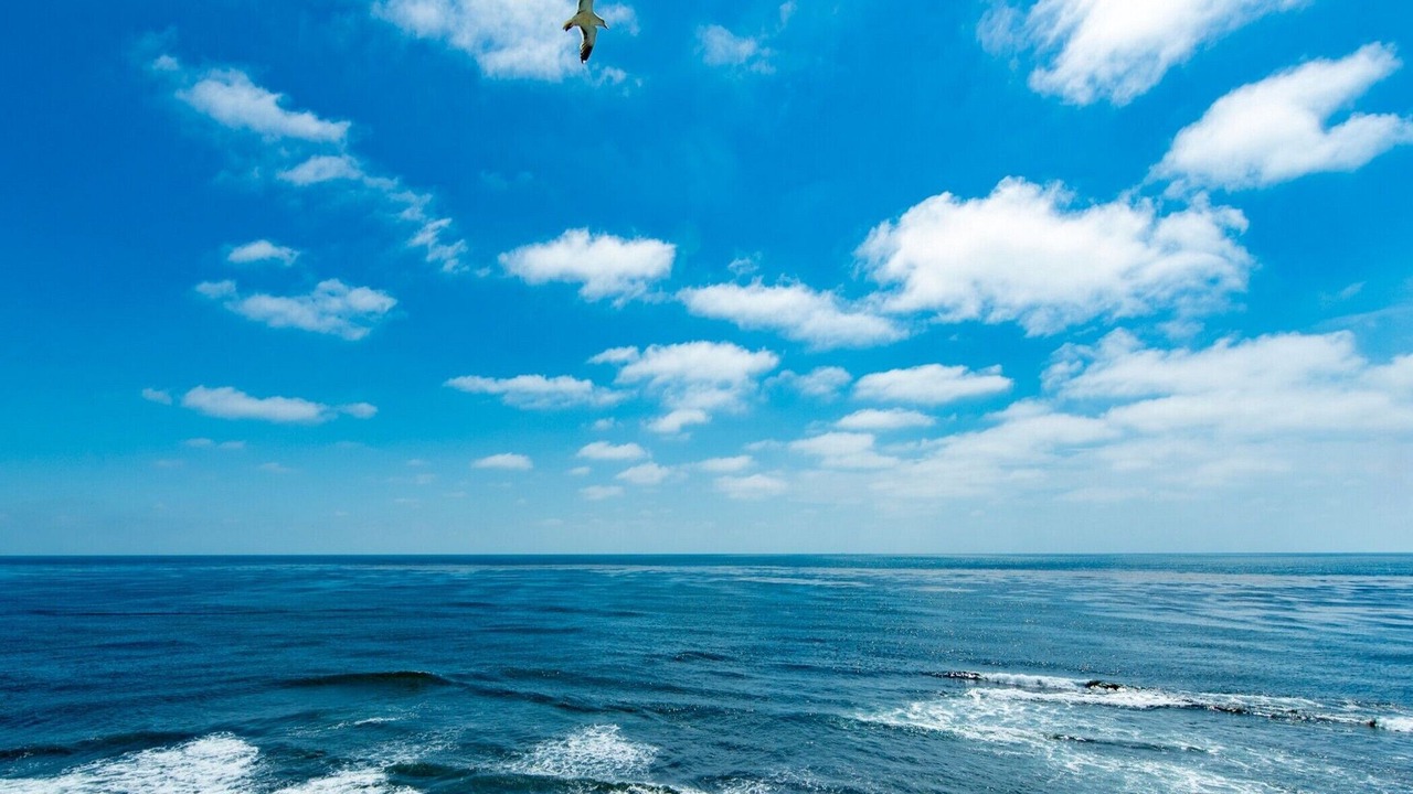 Photo of Others in La Jolla
