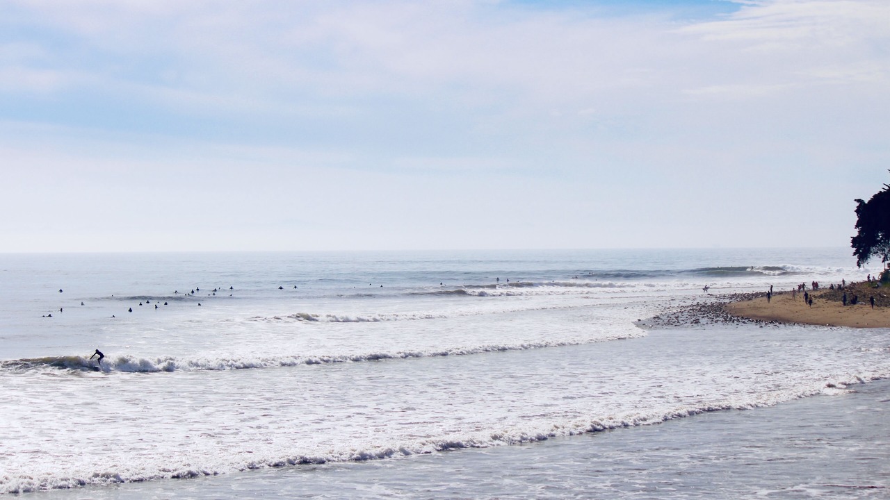 Photo of Others in Carpinteria