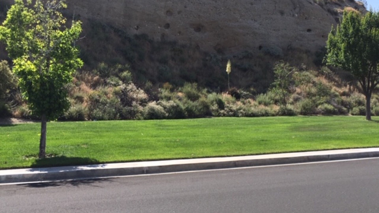 Photo of Others in Canyon Country