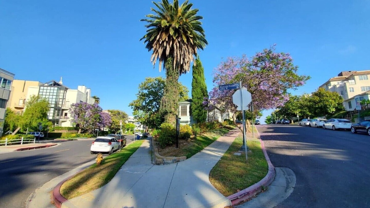 Photo of Others in Westwood