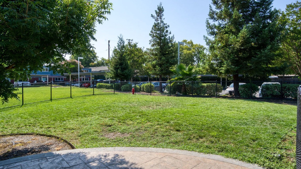 Photo of Outdoor in Campbell