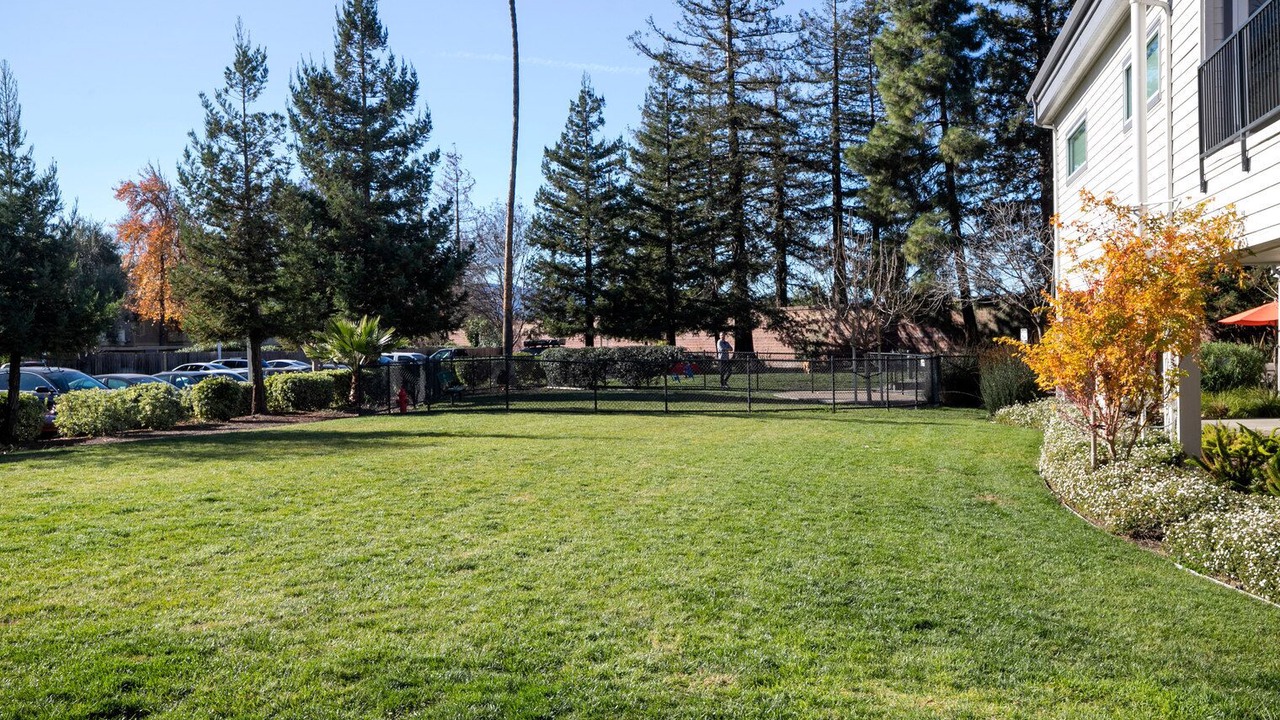 Photo of Outdoor in Campbell
