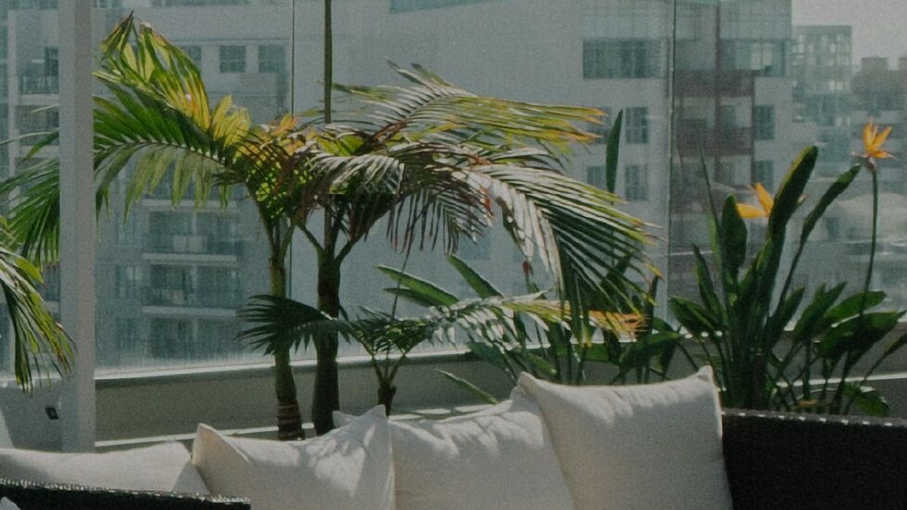 Photo of Outdoor in Rincon Hill
