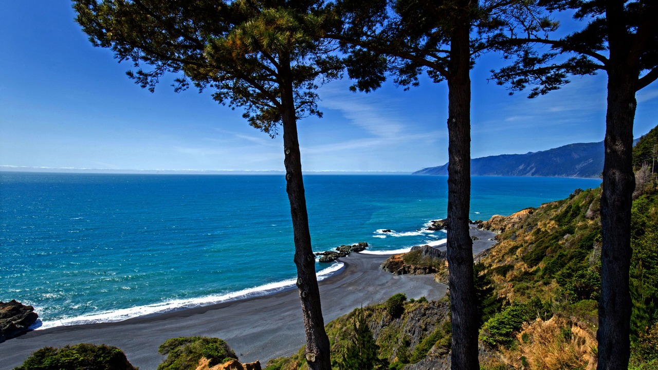 Photo of Others in Shelter Cove