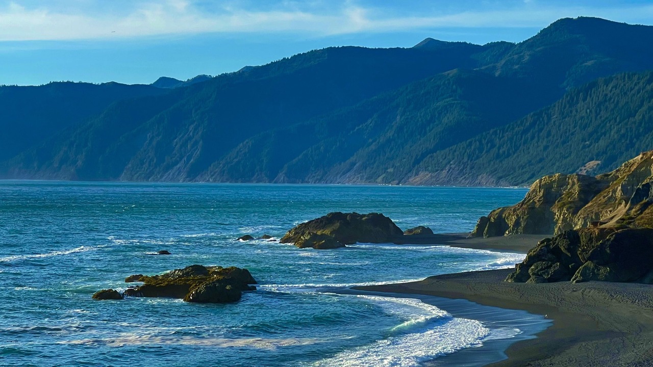Photo of Others in Shelter Cove