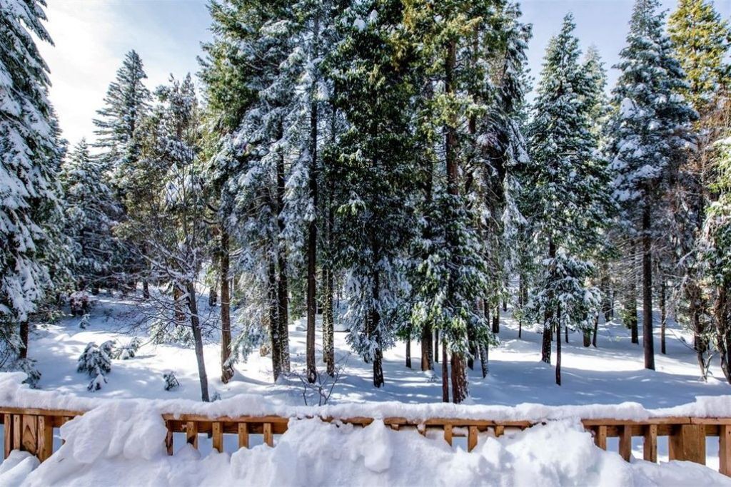 Photo of Others in Shaver Lake