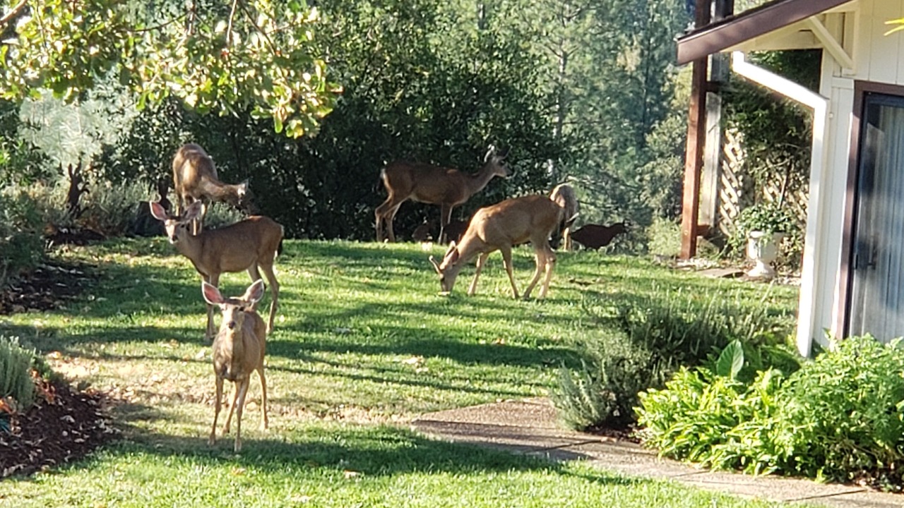 Photo of Outdoor in Jackson