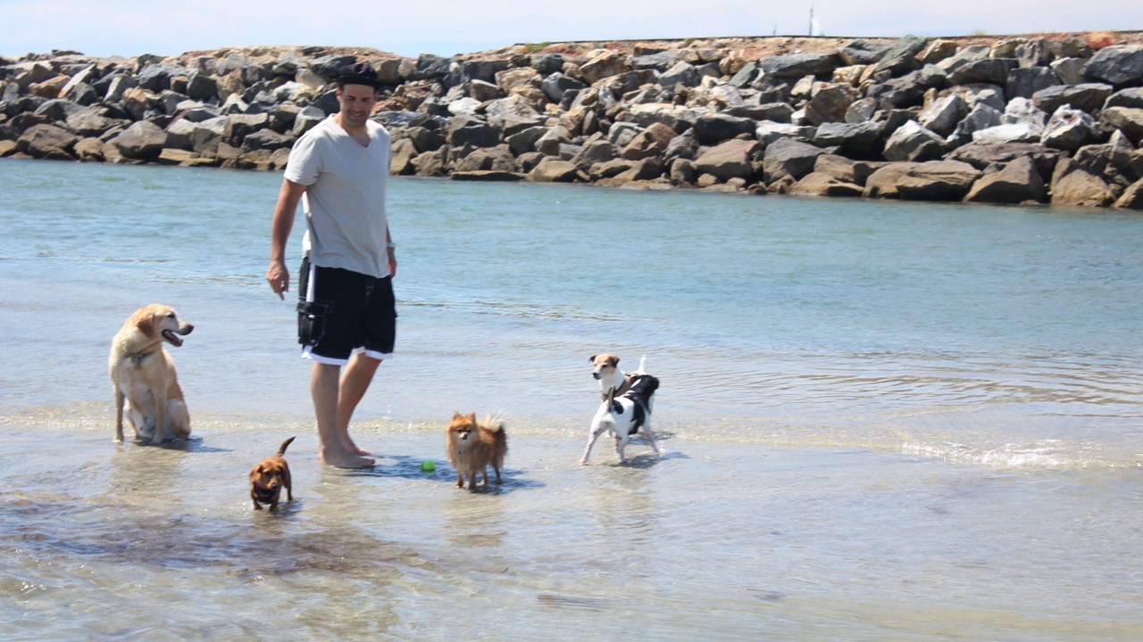 Photo of Others in Ocean Beach