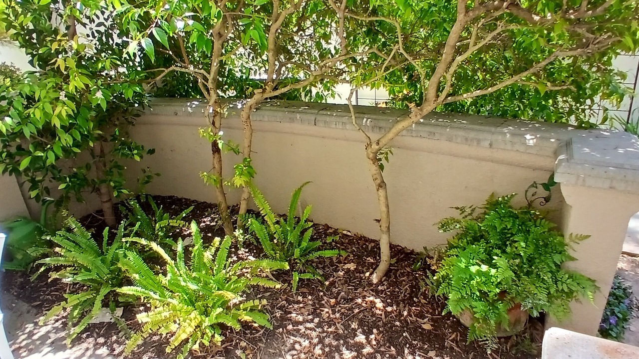 Photo of Outdoor in East Beach