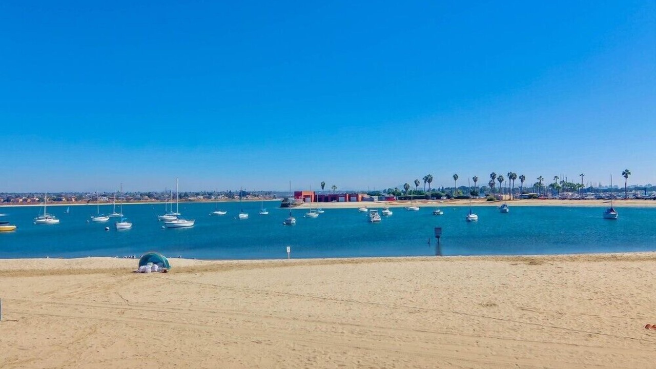 Photo of Others in Central Mission Beach