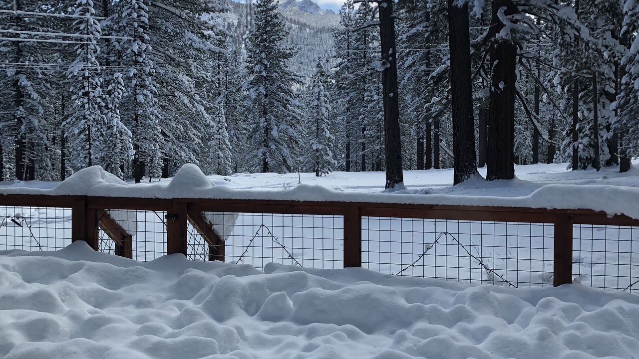 Photo of Outdoor in Pioneer Trail