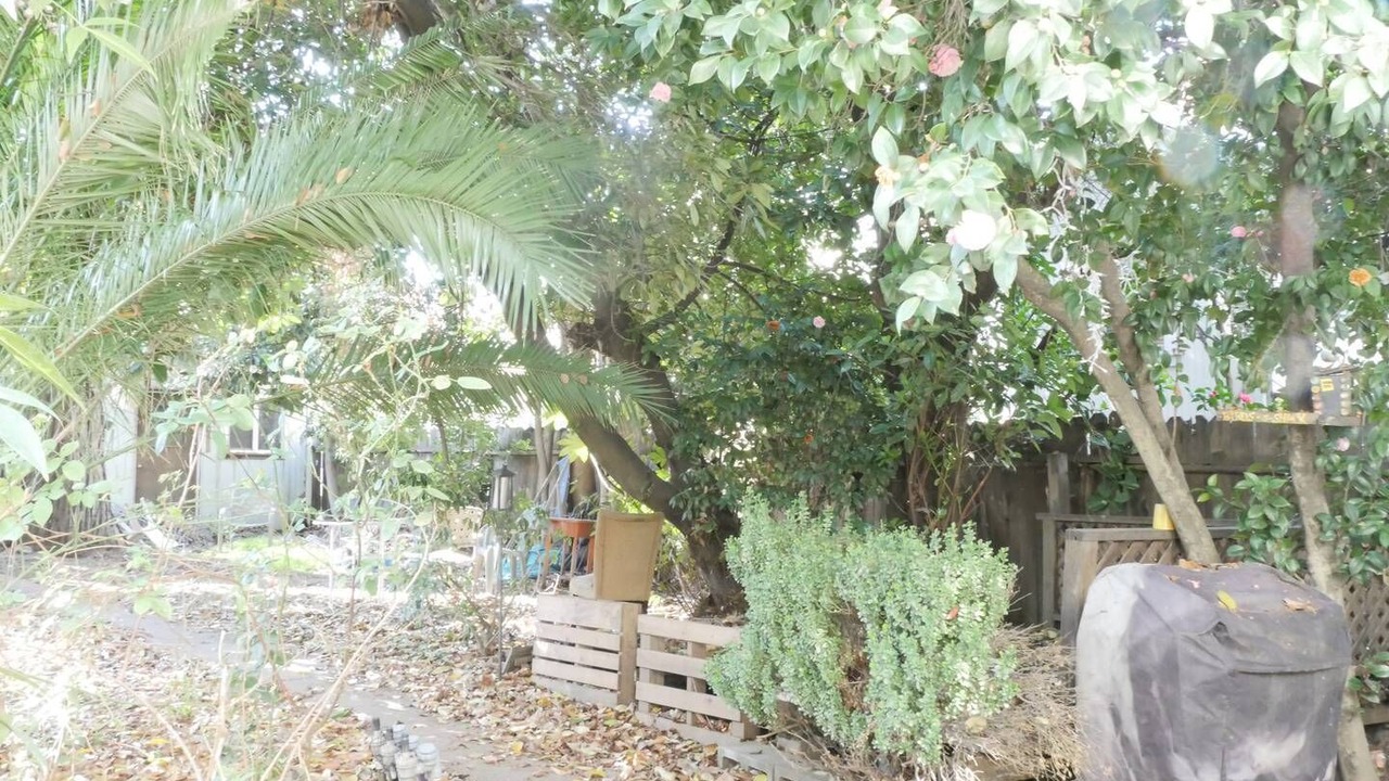 Photo of Outdoor in Midtown Sacramento